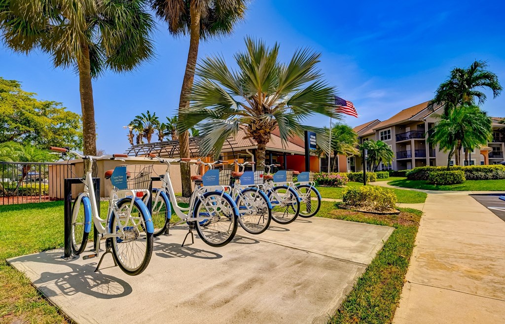 a row of bikes parked on a sidewalk in front of palm trees